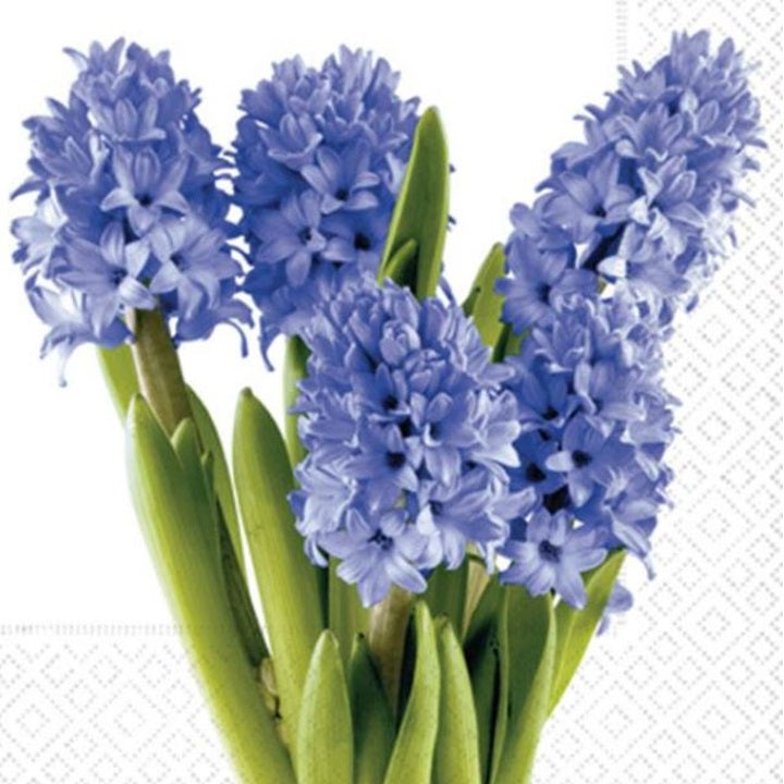 Tovaglioli decoupage Hyacinths - 1 pezzo