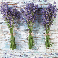 Tovaglioli per DECORAZIONE - Fasci di lavanda - 1pz