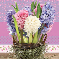 Tovaglioli per decoupage Hyacinths in a Basket - 1 pezzi
