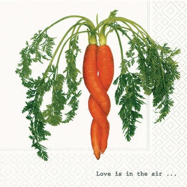 Tovaglioli per decoupage Intertwined Carrot - 1 pezzo