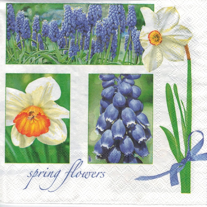 Tovaglioli per decoupage Muscari & Narcissus - 1 pezzo