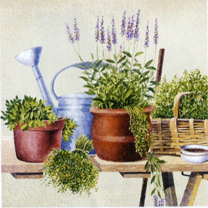 Tovaglioli per decoupage Potting Herbs - 1 pz