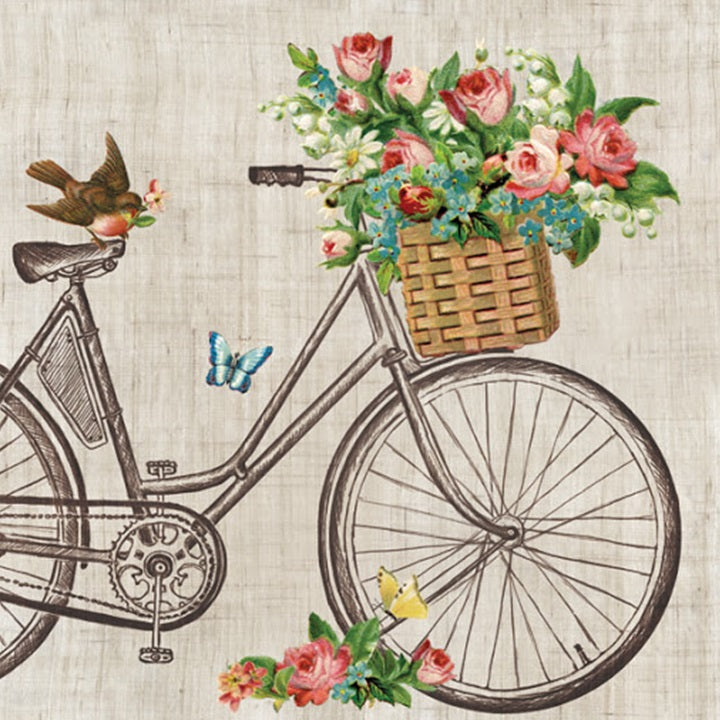 Tovaglioli per decoupage Robin on Bike - 1 pezzo