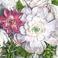 Tovaglioli per decoupage Succulent Plants and Stones Composition - 1 pezzo
