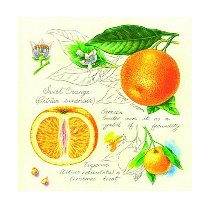 Tovagliolo per decoupage - Arance - 1 pz