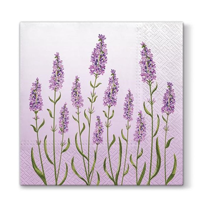 Tovagliolo per decoupage - Lavender field - 1 pz