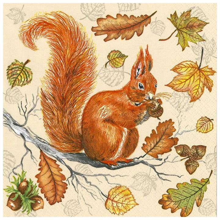 Tovagliolo per decoupage Scoiattolo - 1 pz