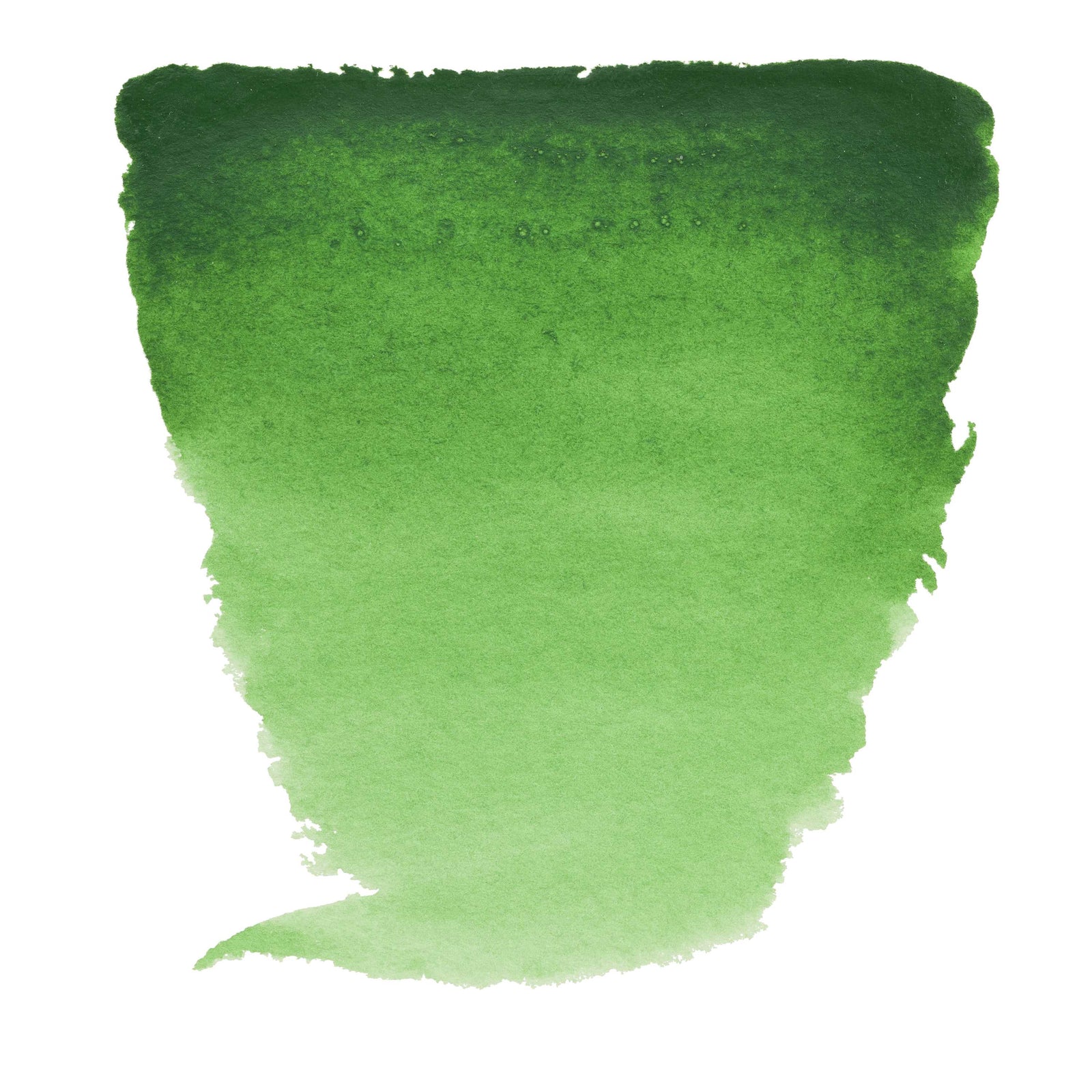 ROYAL TALENS Van Gogh colore ad acquerello 10 ml Hooker Green Light