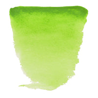 ROYAL TALENS Van Gogh colore ad acquerello 10 ml Permanent Yellowish Green