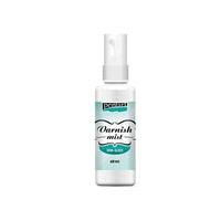 Vernice prottetiva in spray PENTART 60ml